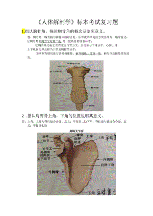 甘肃医学院解剖标本考试（含答案）.docx