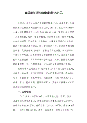 春季麦油田杂草防除技术意见.docx