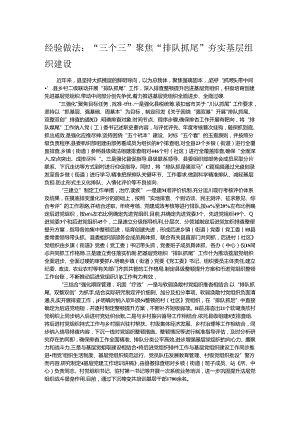 经验做法：“三个三”聚焦“排队抓尾”夯实基层组织建设.docx