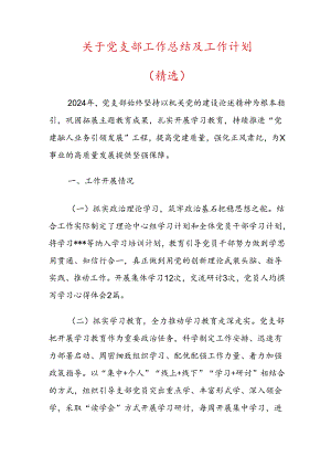 关于党支部工作总结及工作计划（精选）.docx