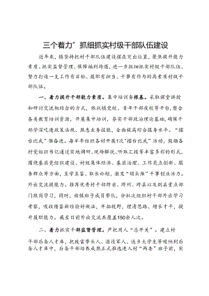 经验做法：“三个着力”抓细抓实村级干部队伍建设.docx