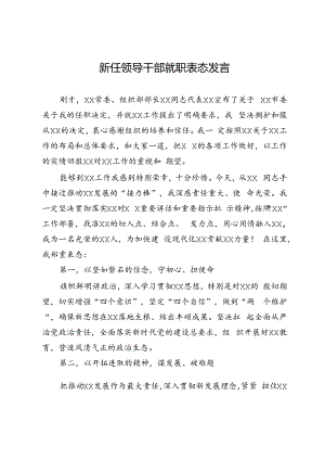 新任领导干部就职表态发言.docx