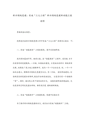 新兴领域党建：实施“三大工程”新兴领域党建新动能汇报材料.docx