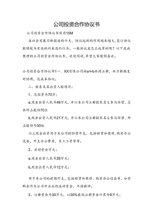 公司投资合作协议书.docx