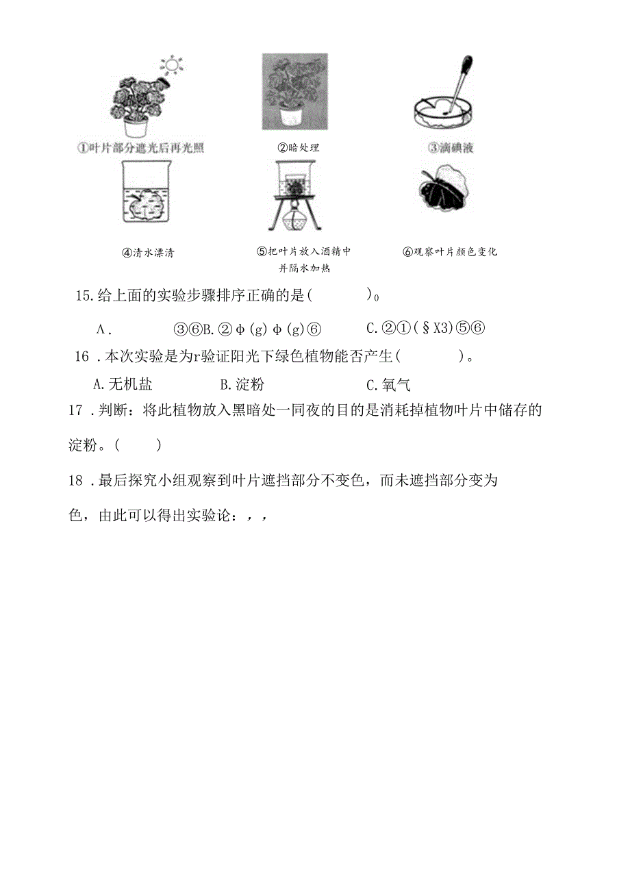 4.3 植物的“食物” 同步分层作业 科学五年级下册（大象版）.docx_第3页