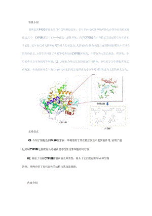 CYP1B1抑制剂研究进展.docx