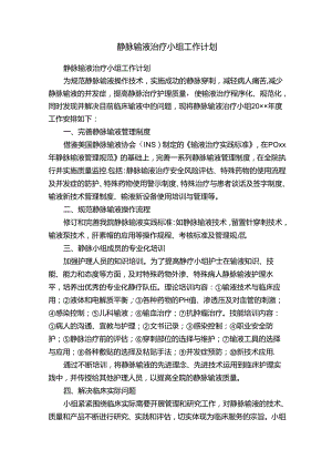 静脉输液治疗小组工作计划.docx