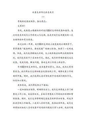 巡查支部书记表态发言.docx