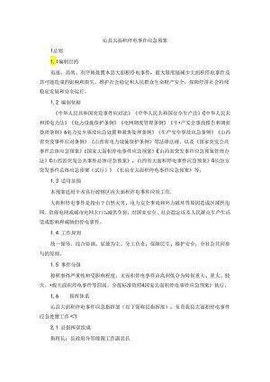 沁县大面积停电事件应急预案.docx