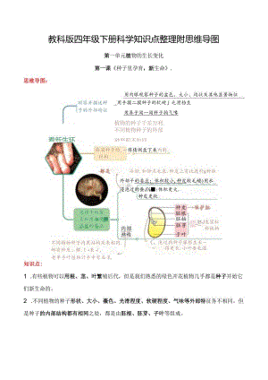 教科版科学四年级下册全册知识清单.docx