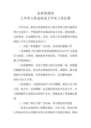 水利局工作总结.docx