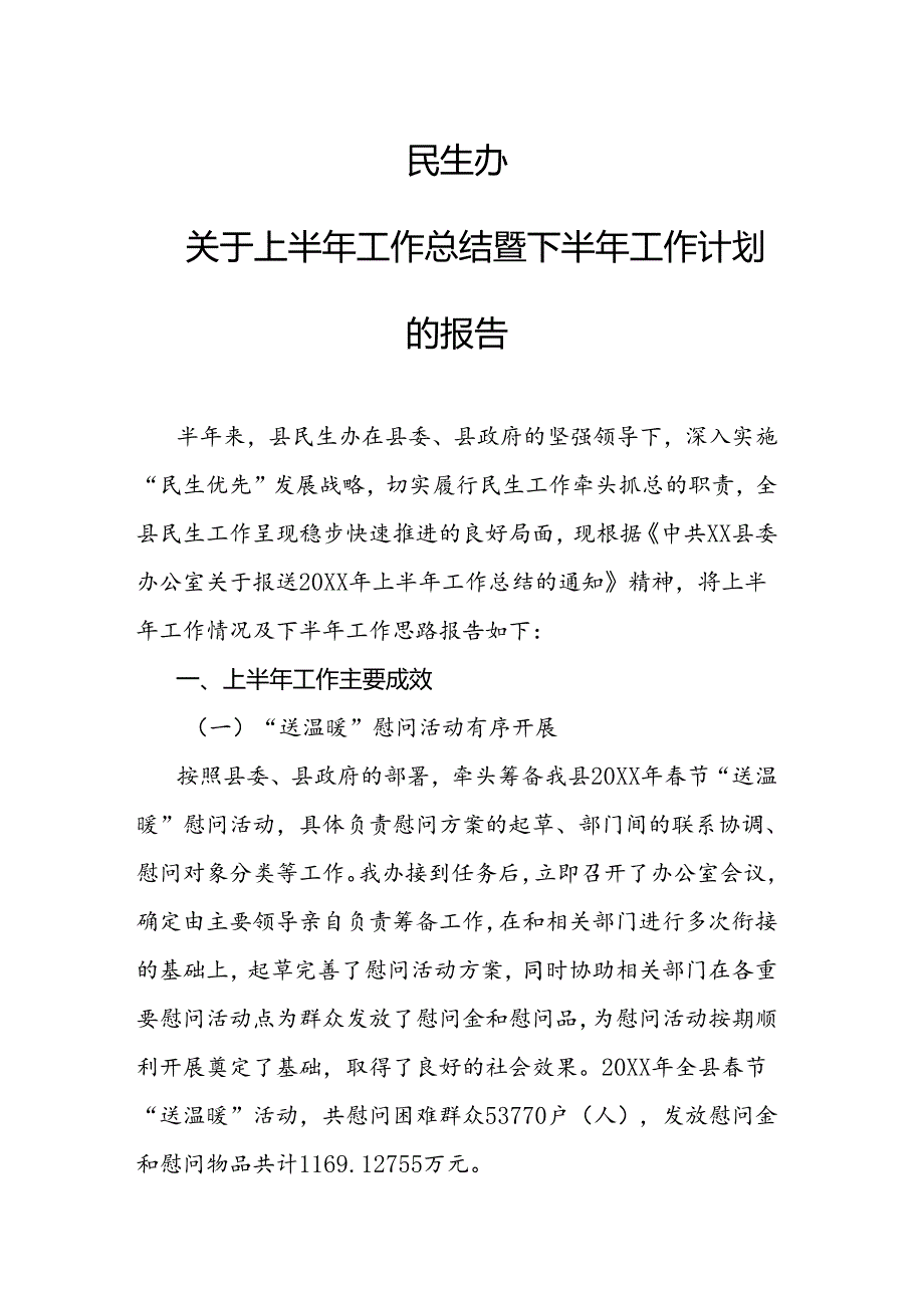 民生办关于上半年工作总结暨下半年工作计划的报告.docx_第1页