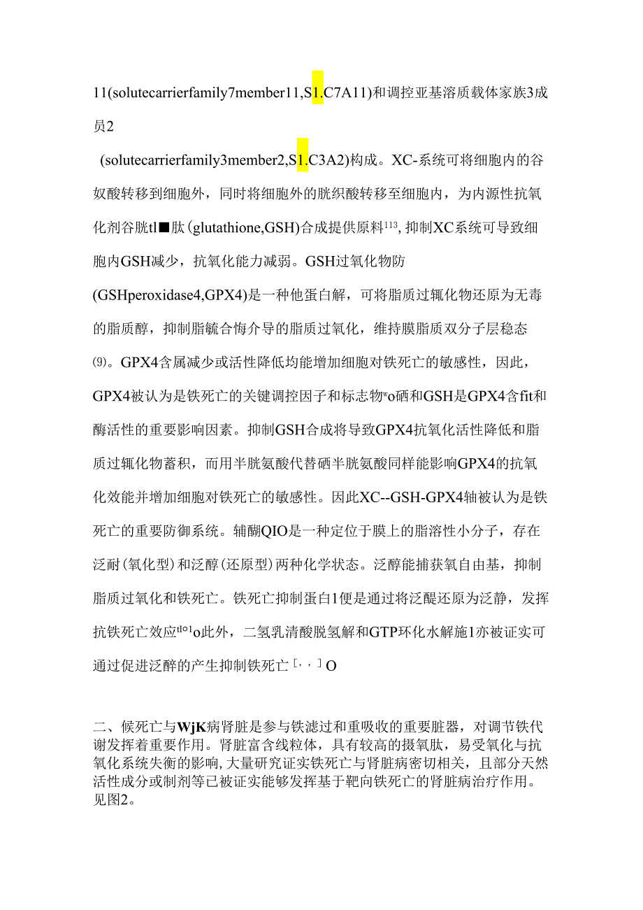 肾脏病中铁死亡的病理生理机制和药物疗法研究进展2024.docx_第3页