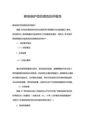 耕地保护项目绩效自评报告.docx