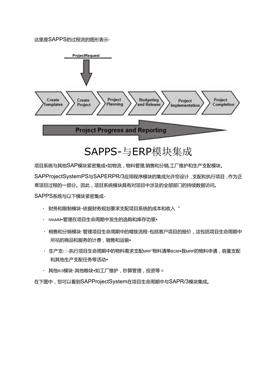 SAPPS快速指南.docx_第3页