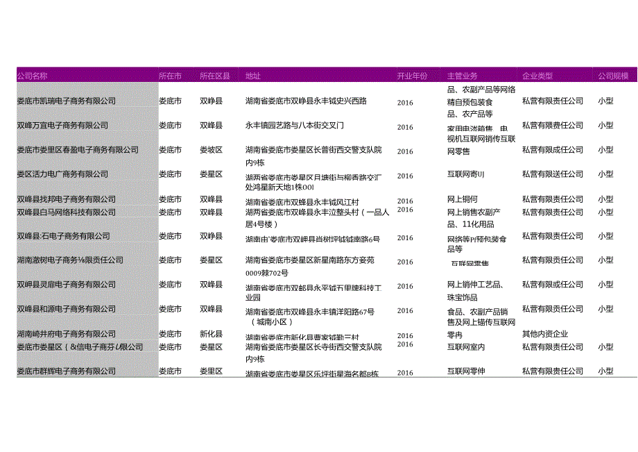 娄底市电子商务公司名录2018版195家.docx_第2页