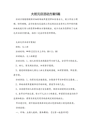 大班元旦活动方案5篇.docx