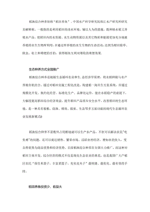 稻渔综合种养技术：稻香鱼肥.docx