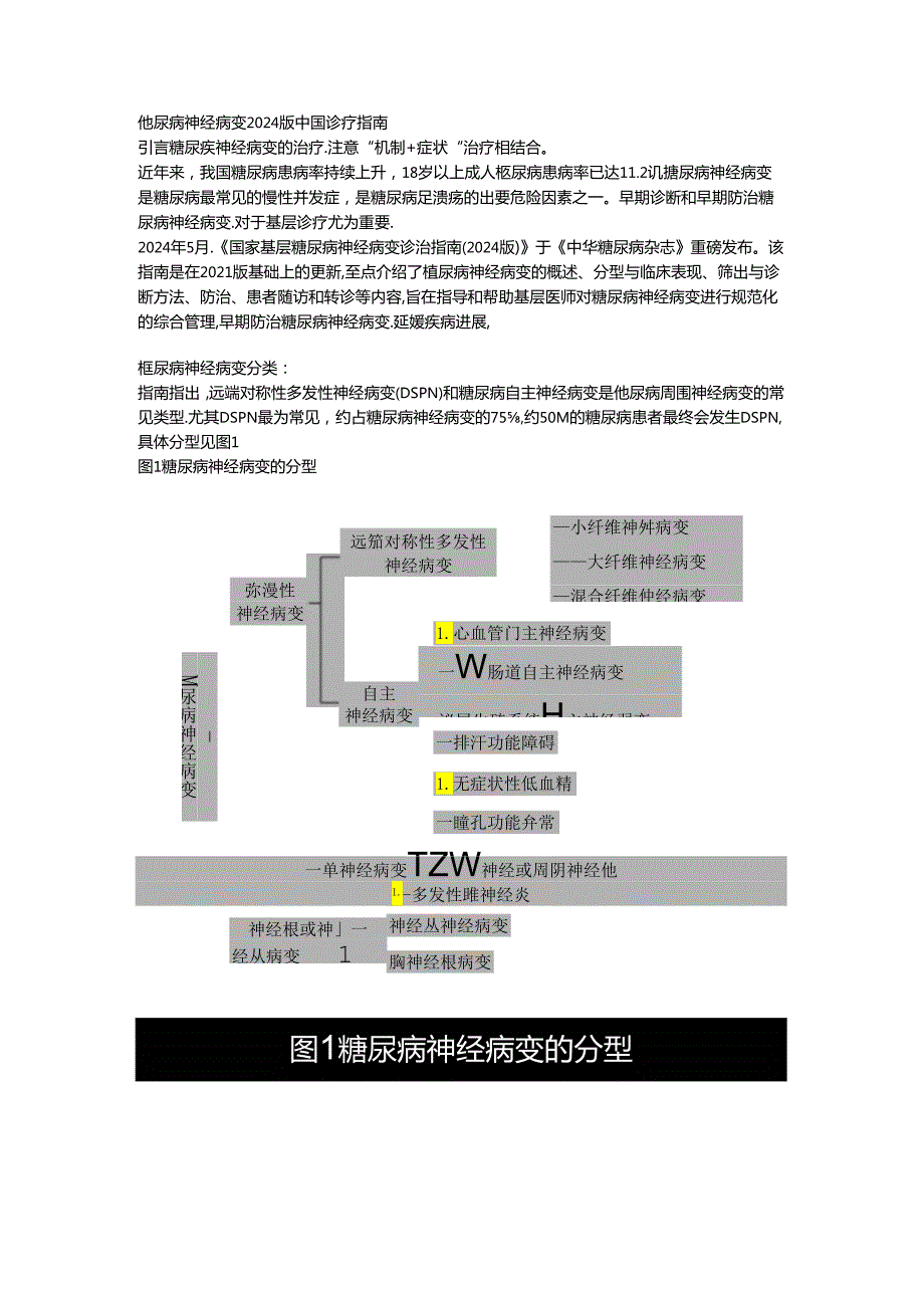 糖尿病神经病变2024版中国诊疗指南.docx_第1页