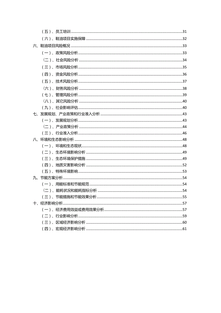 2023年鞋油相关项目实施方案.docx_第3页