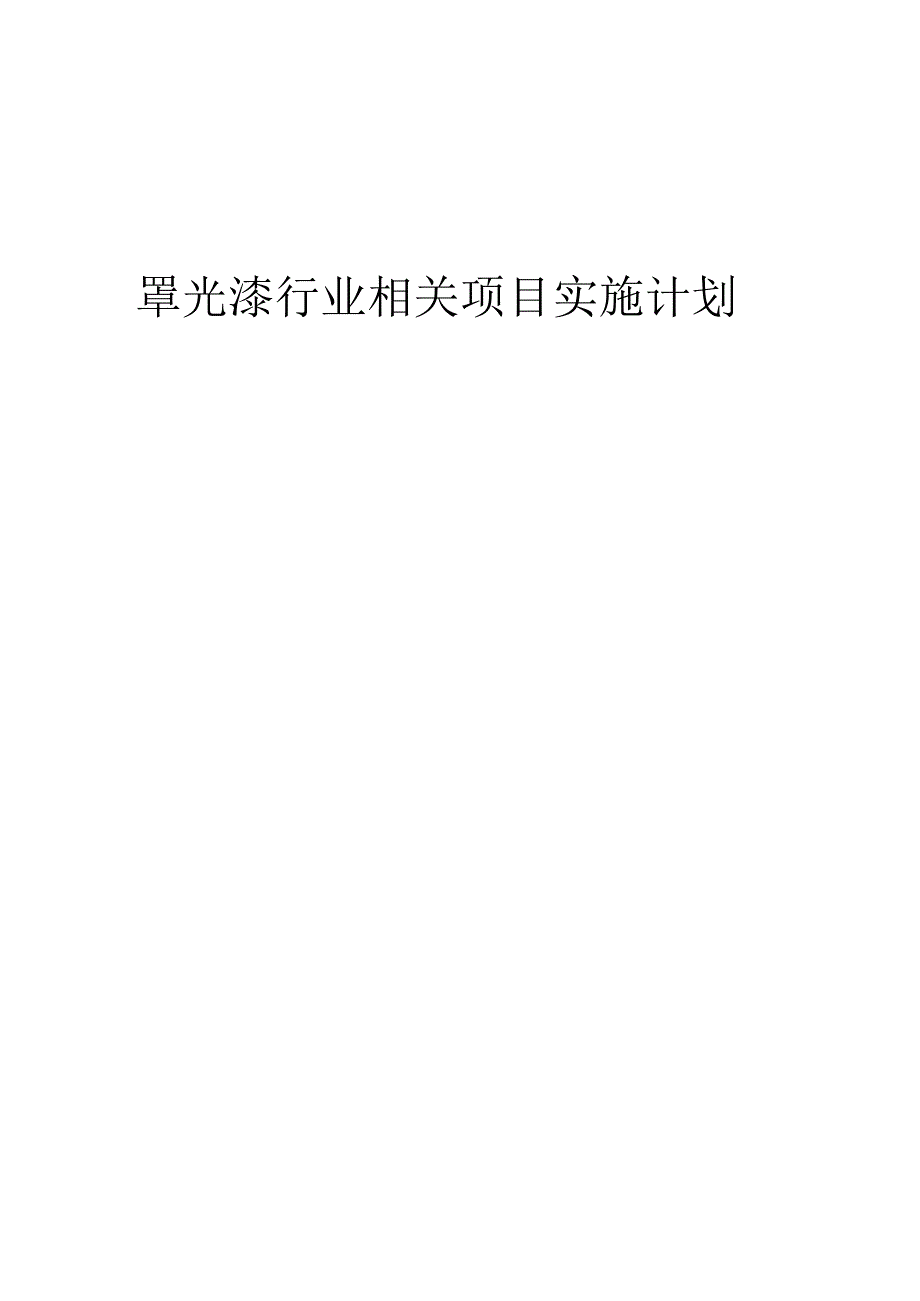 2023年罩光漆行业相关项目实施计划.docx_第1页