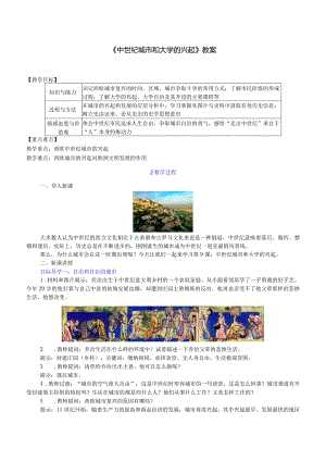 《中世纪城市和大学的兴起》教案.docx