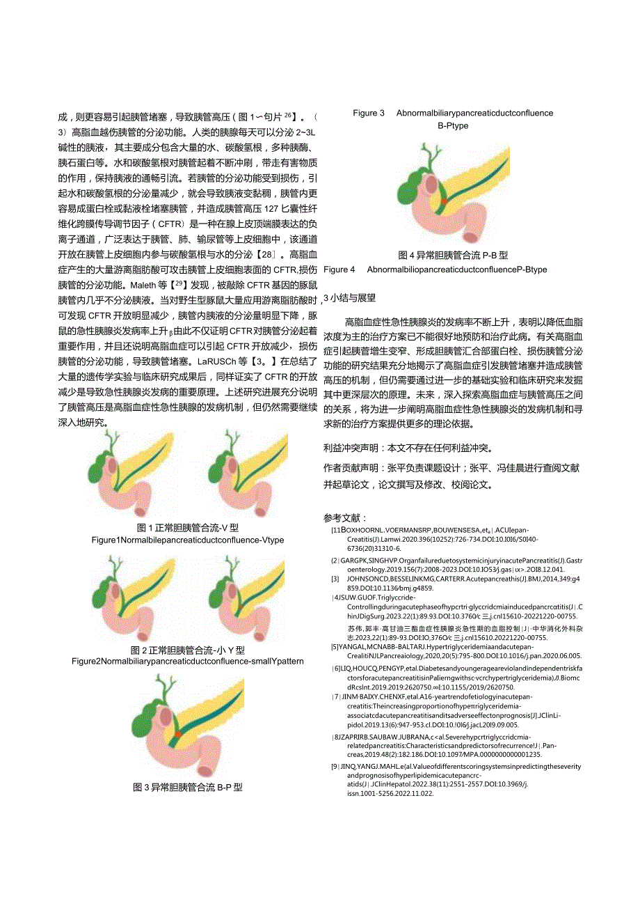 胰管高压导致高脂血症性急性胰腺炎的发病机制.docx_第3页