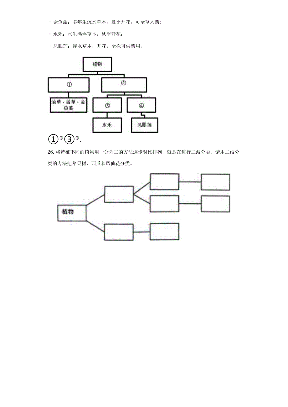 青岛版科学六年级下册6给植物分类同步分层作业.docx_第3页