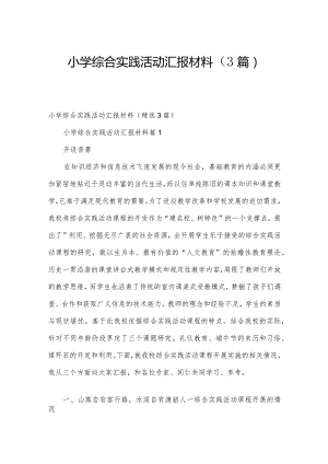 小学综合实践活动汇报材料（3篇）.docx