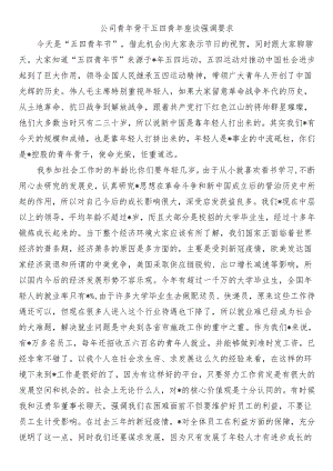 公司青年骨干五四青年座谈强调要求.docx