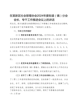 在某新区社会禁毒协会2024年度街道（镇）分会会长、专干工作推进会议上的讲话.docx