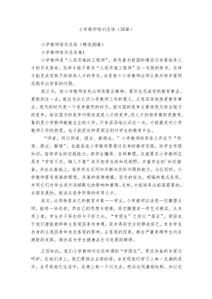 小学教师培训总结（30篇）.docx