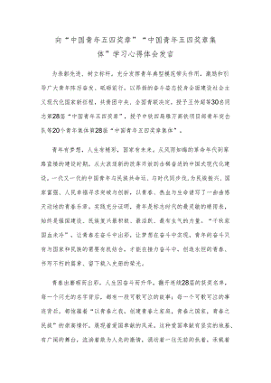 向“中国青年五四奖章”“中国青年五四奖章集体”学习心得体会发言.docx