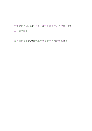 2024年上半年乡镇党委书记履行全面从严治党“第一责任人”情况报告2篇.docx