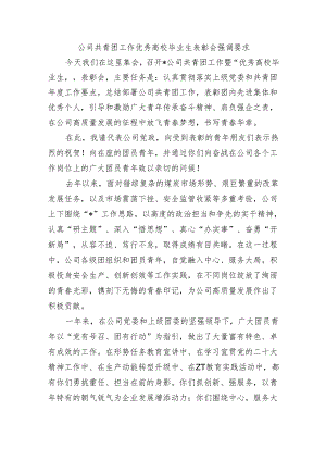 公司共青团工作优秀高校毕业生表彰会强调要求.docx