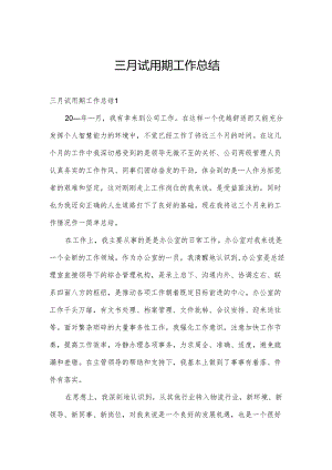 三月试用期工作总结.docx