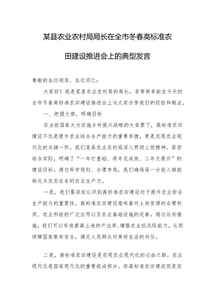 某县农业农村局局长在全市冬春高标准农田建设推进会上的典型发言.docx