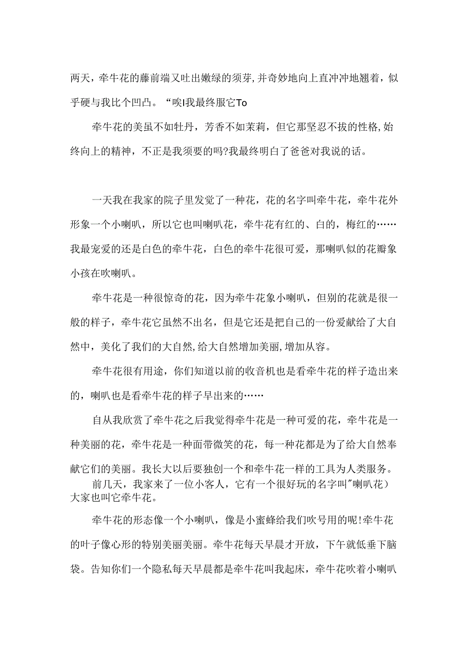 300字小学作文：观察一棵牵牛花「」.docx_第2页