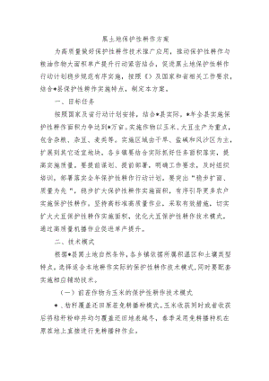 黑土地保护性耕作方案.docx