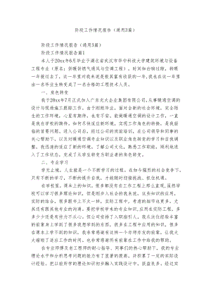 阶段工作情况报告（通用3篇）.docx