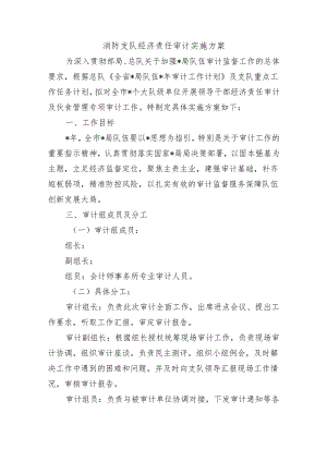 消防支队经济责任审计实施方案.docx