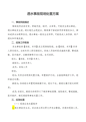 透水事故现场处置方案.docx