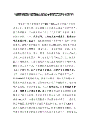 先进基层党组织考察材料（菅家窑子村）.docx