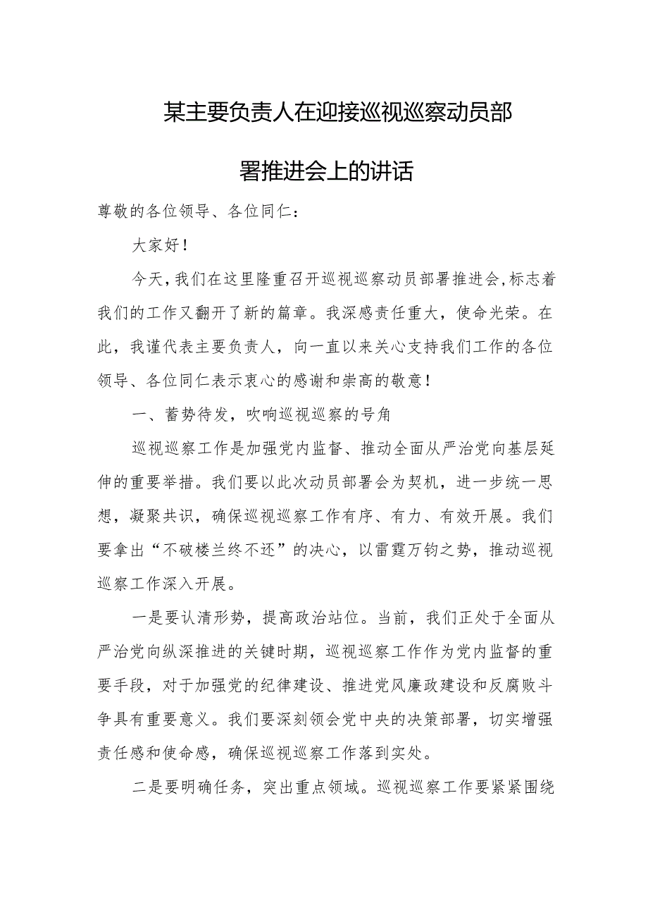 某主要负责人在迎接巡视巡察动员部署推进会上的讲话.docx_第1页