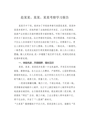 赴某某、某某、某某考察学习报告.docx