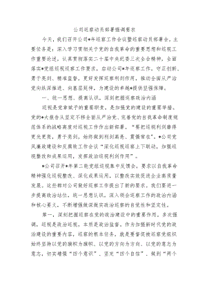 公司巡察动员部署强调要求.docx