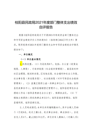 桂阳县民政局2018年度部门整体支出绩效自评报告.docx