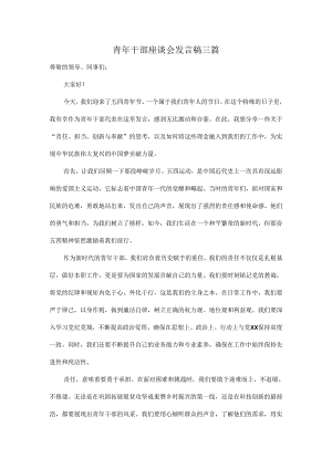 青年干部座谈会发言稿三篇.docx