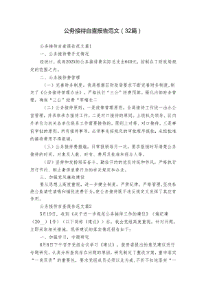 公务接待自查报告范文（32篇）.docx