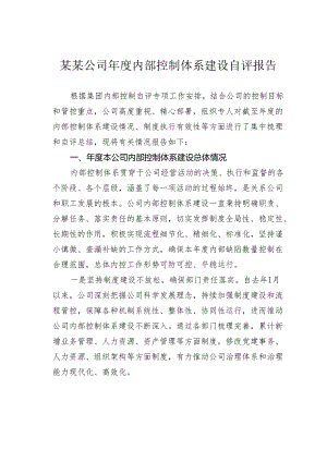 某某公司年度内部控制体系建设自评报告.docx